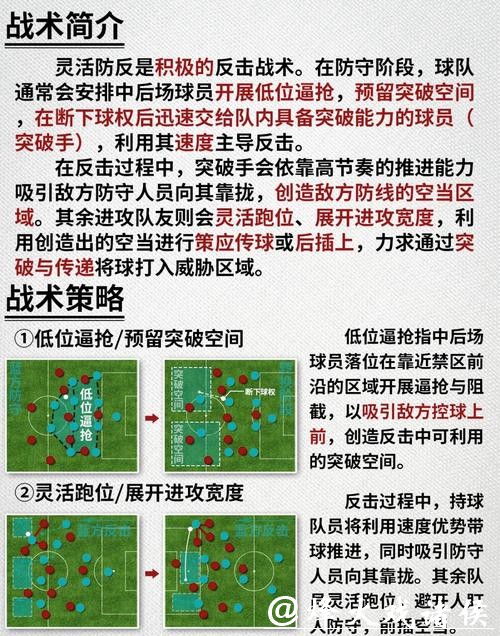 深入解析世界杯球队比赛战术与战略调整